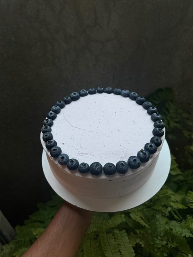 A white-iced cake ringed with fresh blueberries, held above ferns.