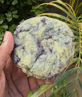 A thick blueberry-marbled cookie resting in an open palm in front of tropical leaves.