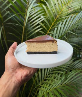A slice of cheesecake with a dark chocolate top, held on a plate in front of a palm.