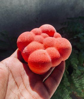 A coral-red mousse dessert with a bubbled surface, cradled in an open hand.
