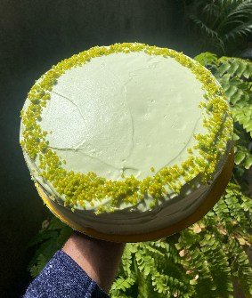 A pistachio cheesecake with a bright green crumb pressed around its rim, held against ferns.